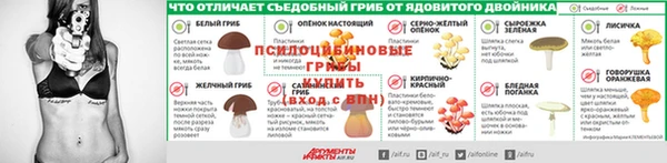 mdpv Козельск