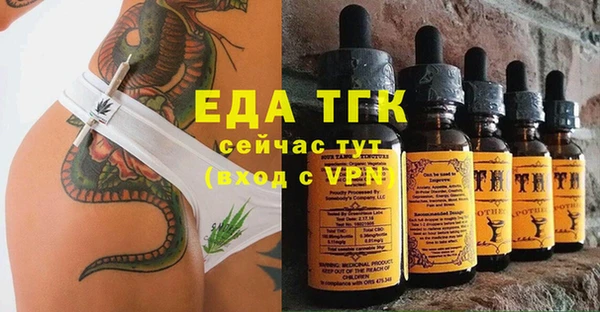 гашик Кодинск