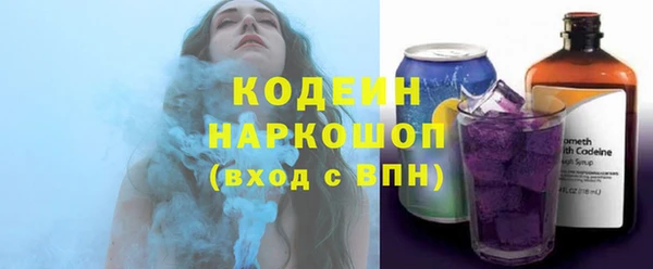 гашик Кодинск