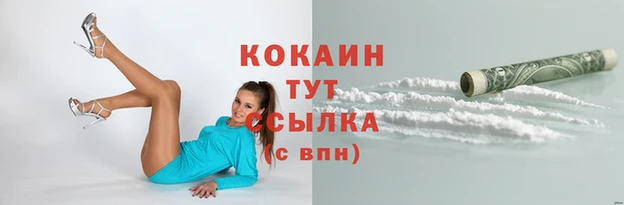 mdpv Козельск