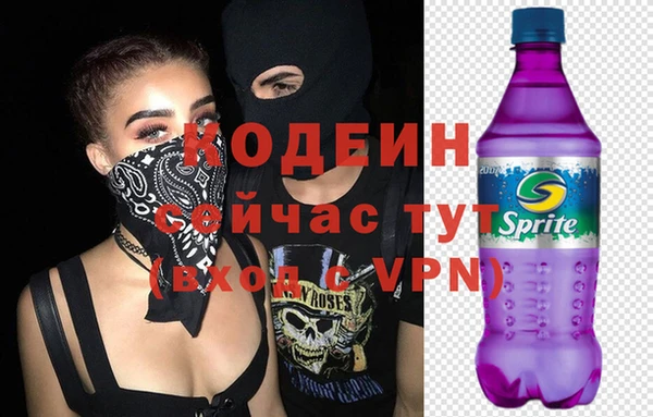 гашик Кодинск