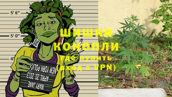гашик Кодинск