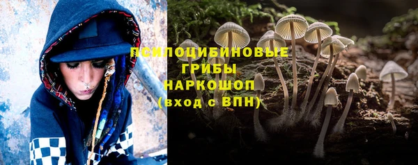 mdpv Козельск
