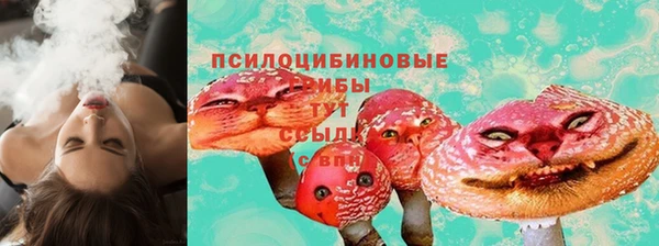 гашик Кодинск