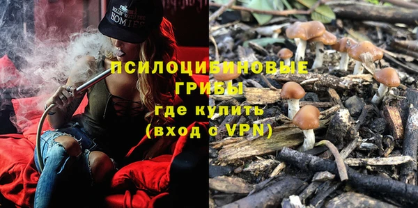гашик Кодинск